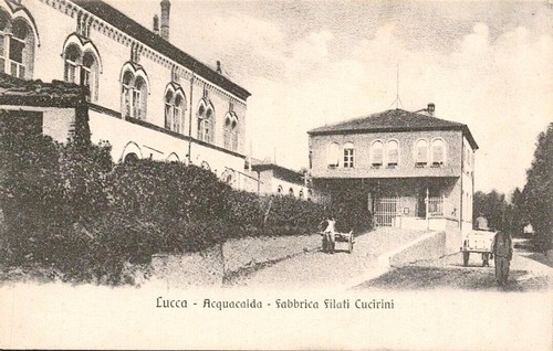 Am901 cartolina lucca - cartolina,